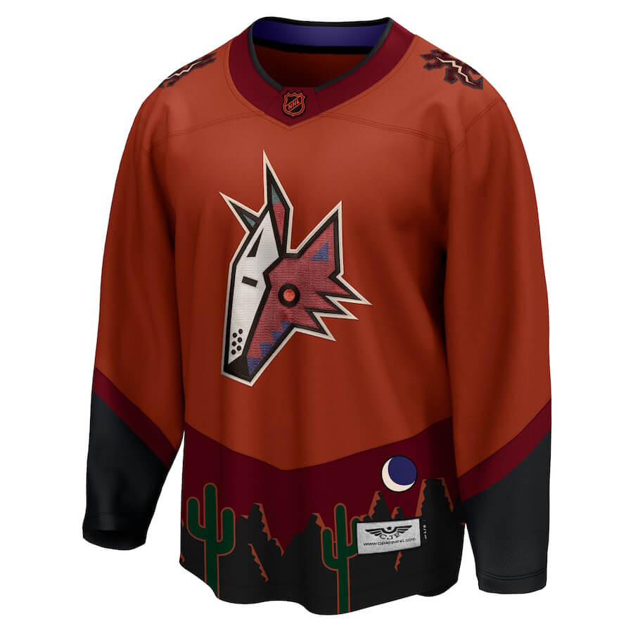 mens-fanatics-branded-burnt-orange-arizona-coyotes-special-edition-20-breakaway-blank-jersey_pi4631000_altimages_ff_4631459-3bf822515617d39730a1alt2_full