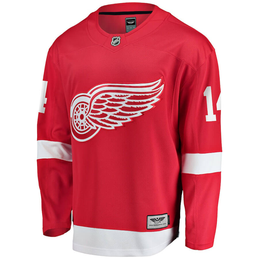 mens-fanatics-branded-robby-fabbri-red-detroit-red-wings-home-breakaway-player-jersey_pi4564000_altimages_ff_4564159-bc852eb4672607e69990alt2_full