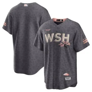 Washington Nationals CJP Apparel City Connect  Team Jersey - Gray