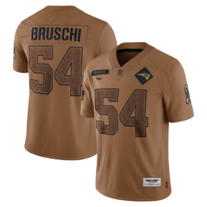 Tedy Bruschi New England Patriots CJP Apparel 2023 Salute To Service Retired Player Limited Jersey - Brown